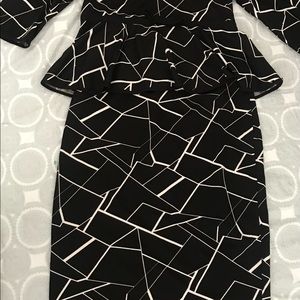 Shein Pencil Skirt and Fitted Blouse